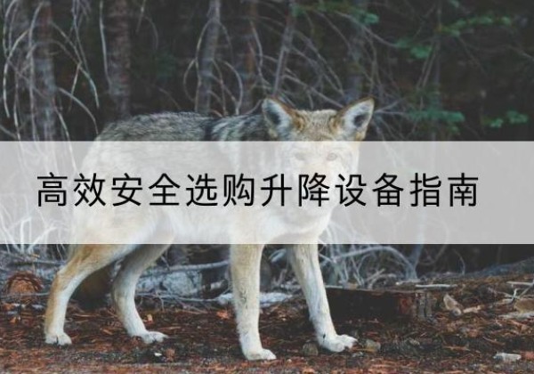 克拉玛依升降货梯厂家推荐-*安全选购升降设备指南