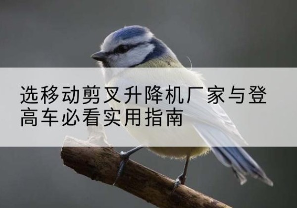 克拉玛依电动升降机厂家-选移动剪叉升降机厂家与登高车必看实用指南